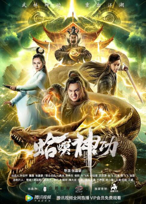 《善良岳母：我爱我的女婿》海报